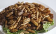 A mixed dish of deep-fried insects at People of Yunnan restaurant in San Po Kong. Photo: K.Y. Cheng